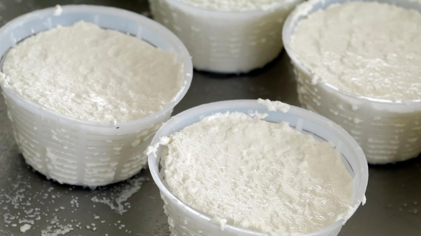 Ricotta