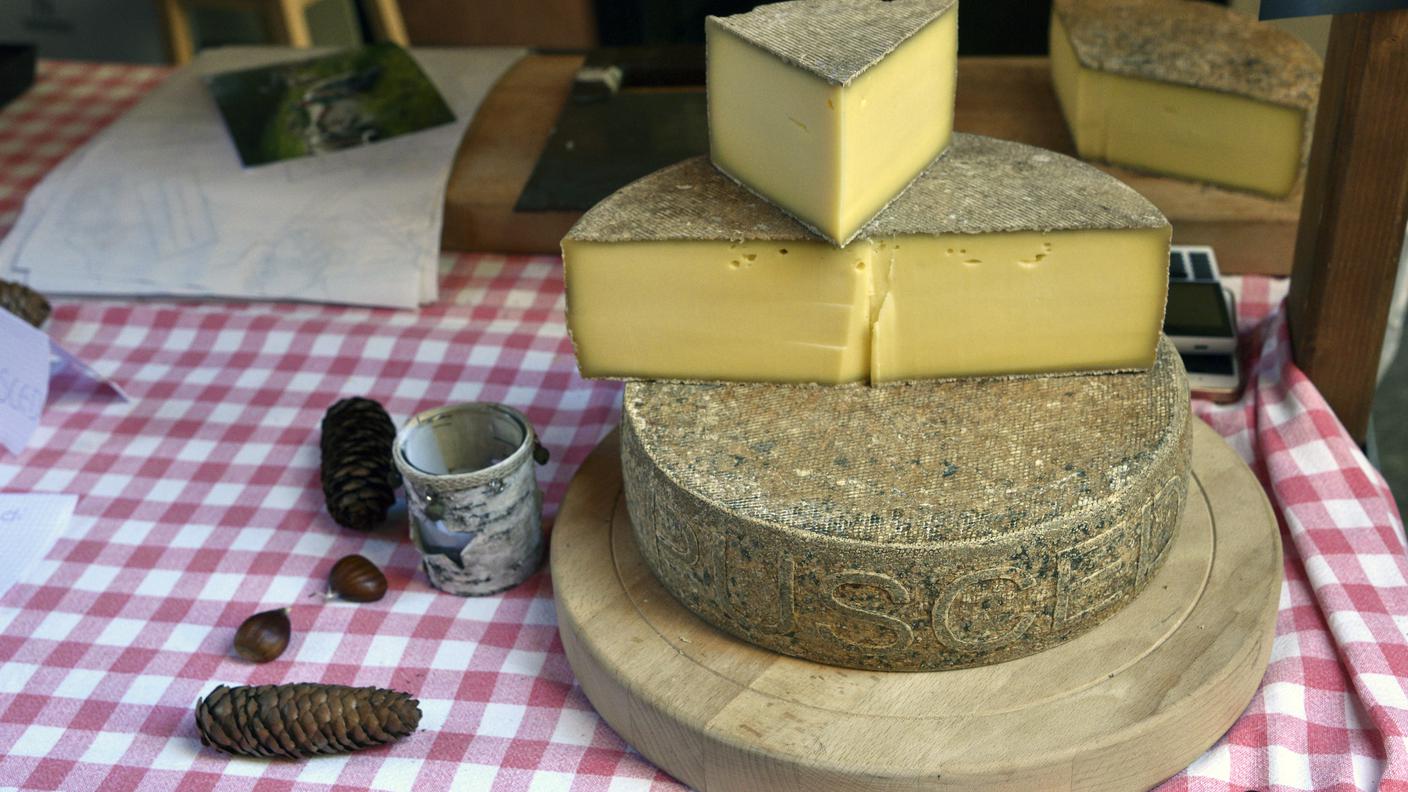 Mercato dei Formaggi di Bellinzona