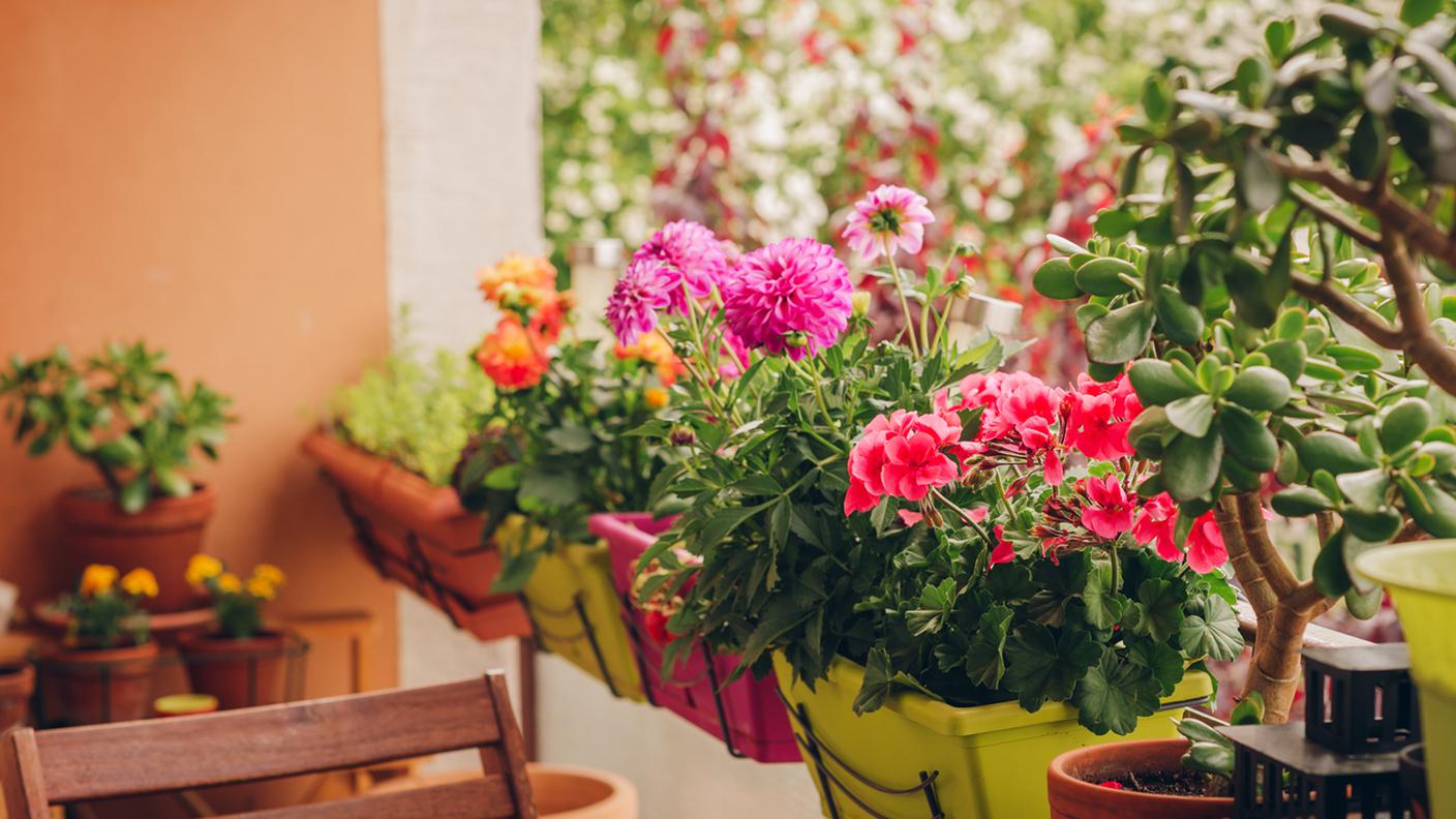 balcone fiori