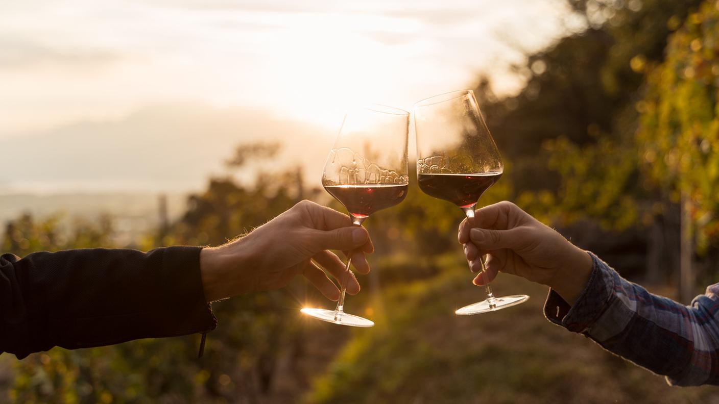 vino, brindare, vino osso, Azienda viniticola, grappoli