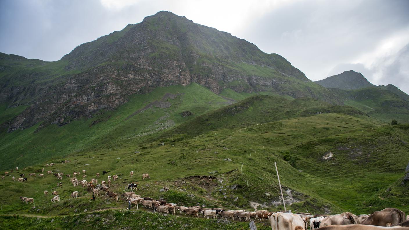 Alpeggi Ticino