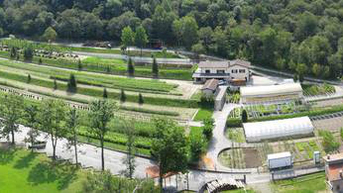 Vivaio forestale di Lattecaldo
