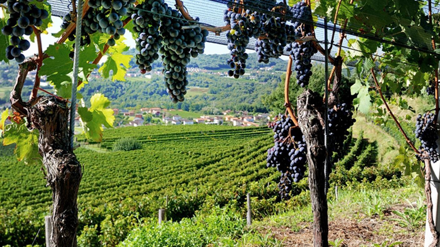 (Mendrisio Turismo)