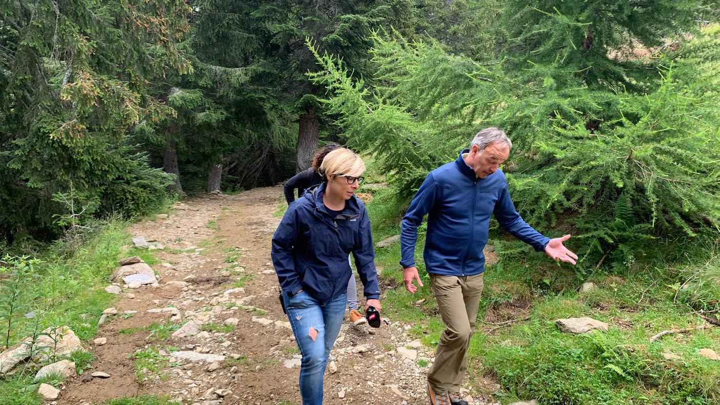 Daniele Maffei, Direttore dell’Azienda Agraria di Mezzana e Lara Montagna sull'Alpe Giumello
