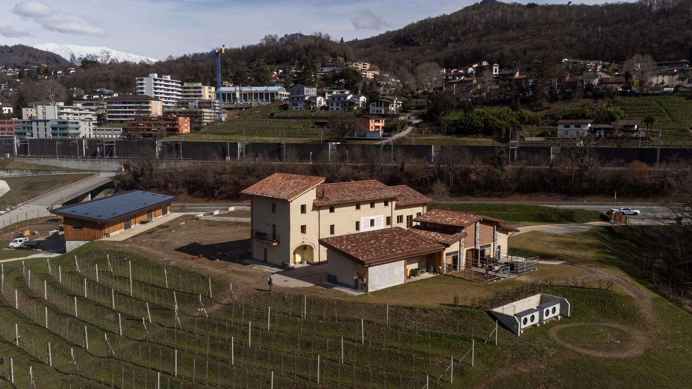 Fattoria del Gerbone, Vezia