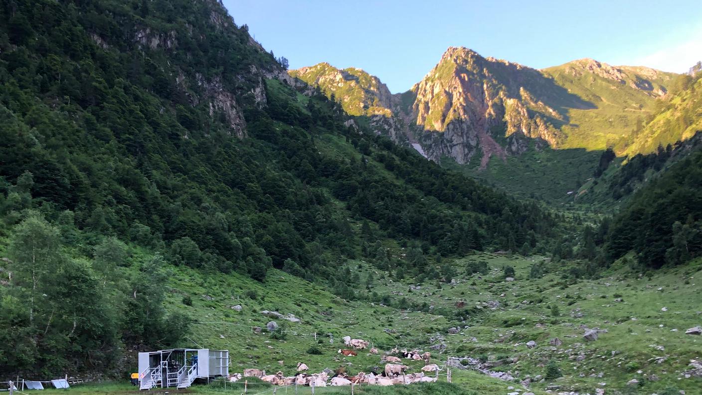 Alpe Giumello