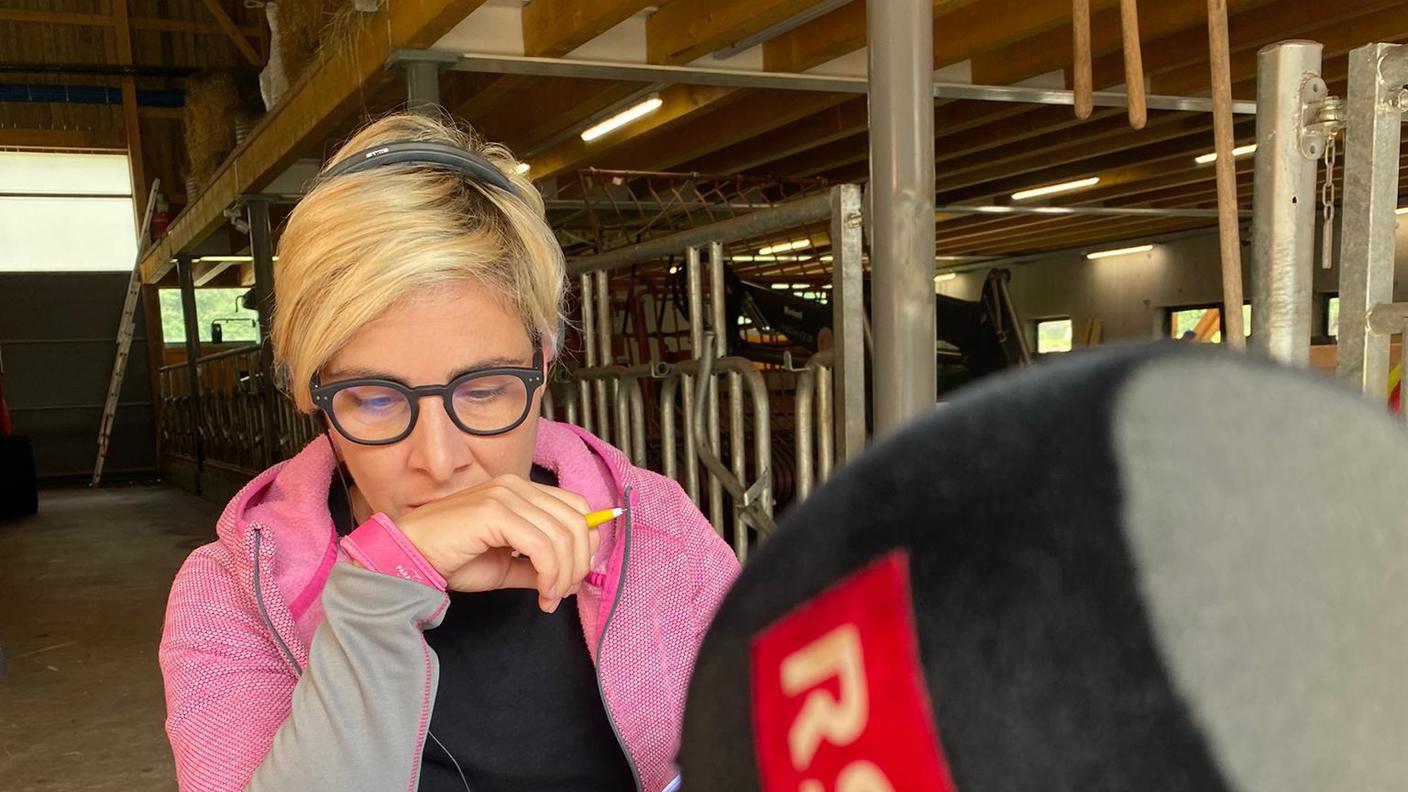Azienda Agricola Ambrosini Matteo e Famiglia, Cevio