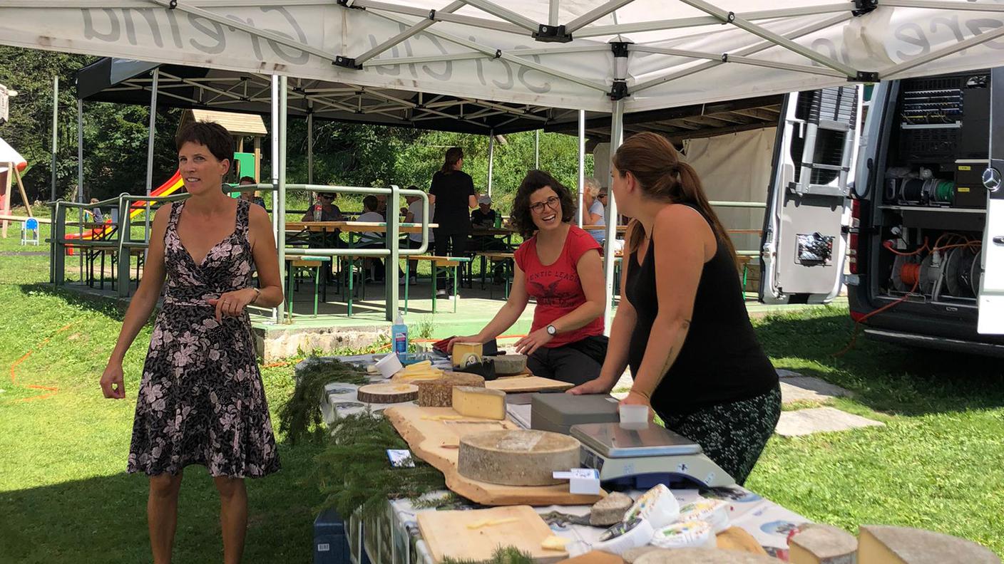 Ferragosto alla Pineta Saracino di Ghirone