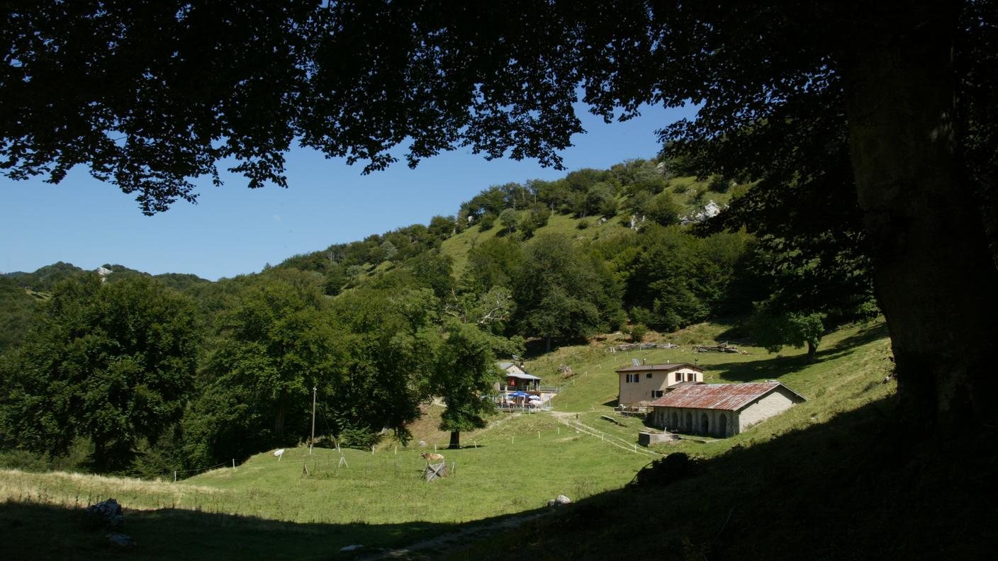 Alpe Bolla