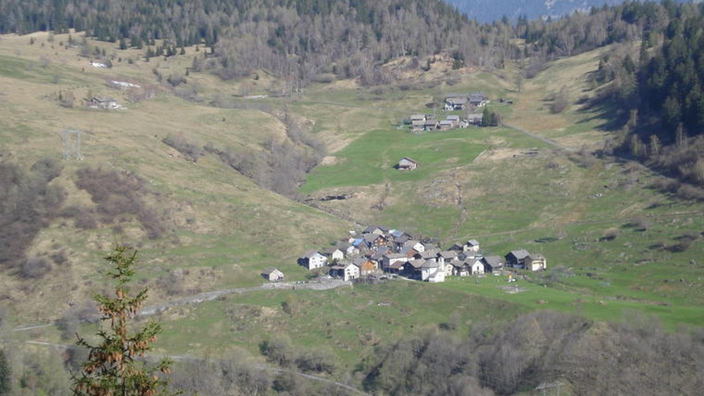 Gribbio