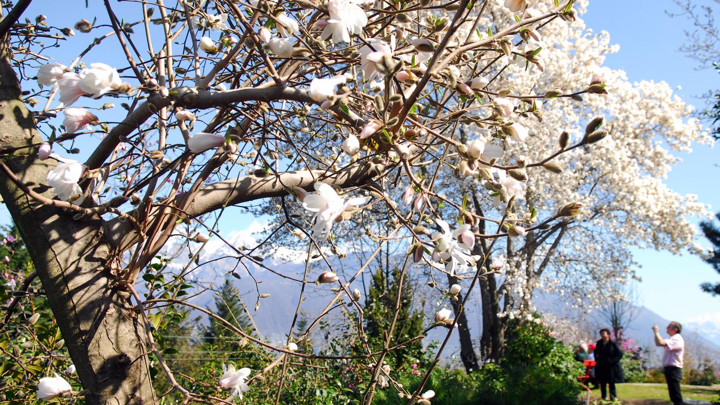 Parco Botanico Del Gambarogno