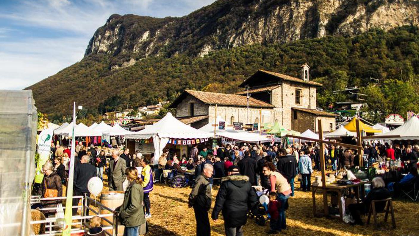 Fiera di San Martino, Mendrisio