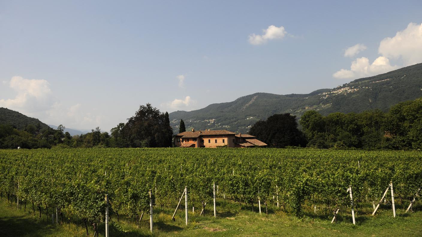 Tenuta Bally