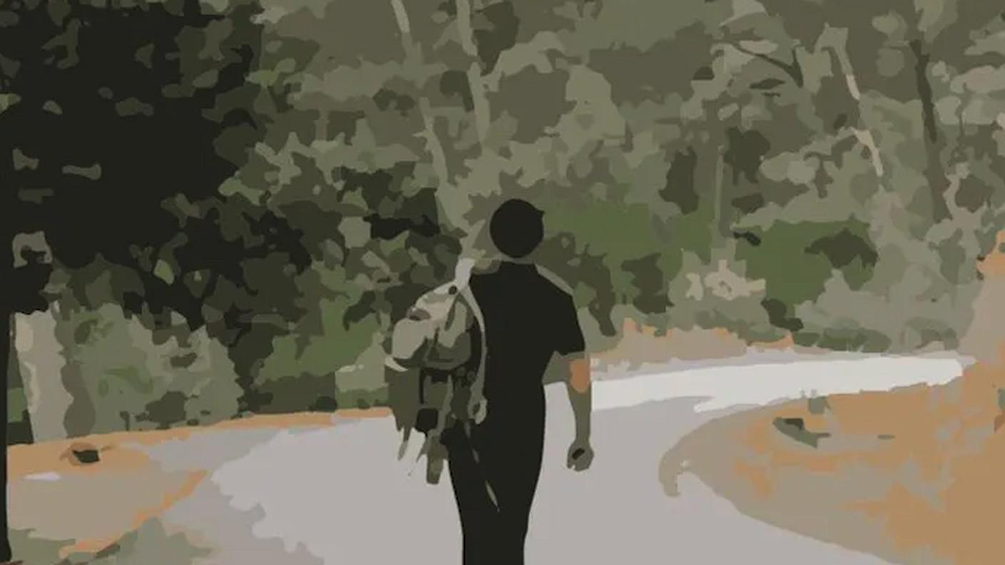 Camminare oltre di Andrea Netzer, Famingo Edizioni