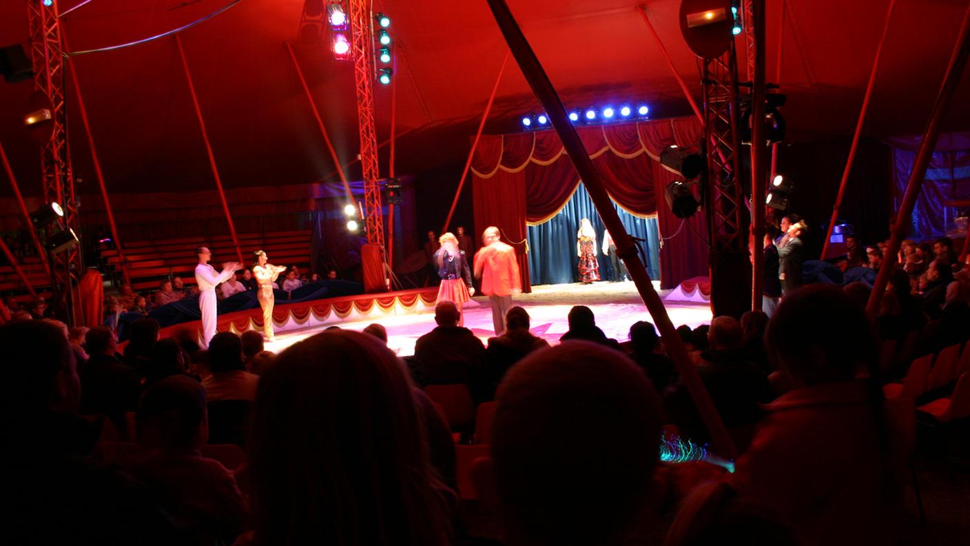circo, clown, artisti, acrobati