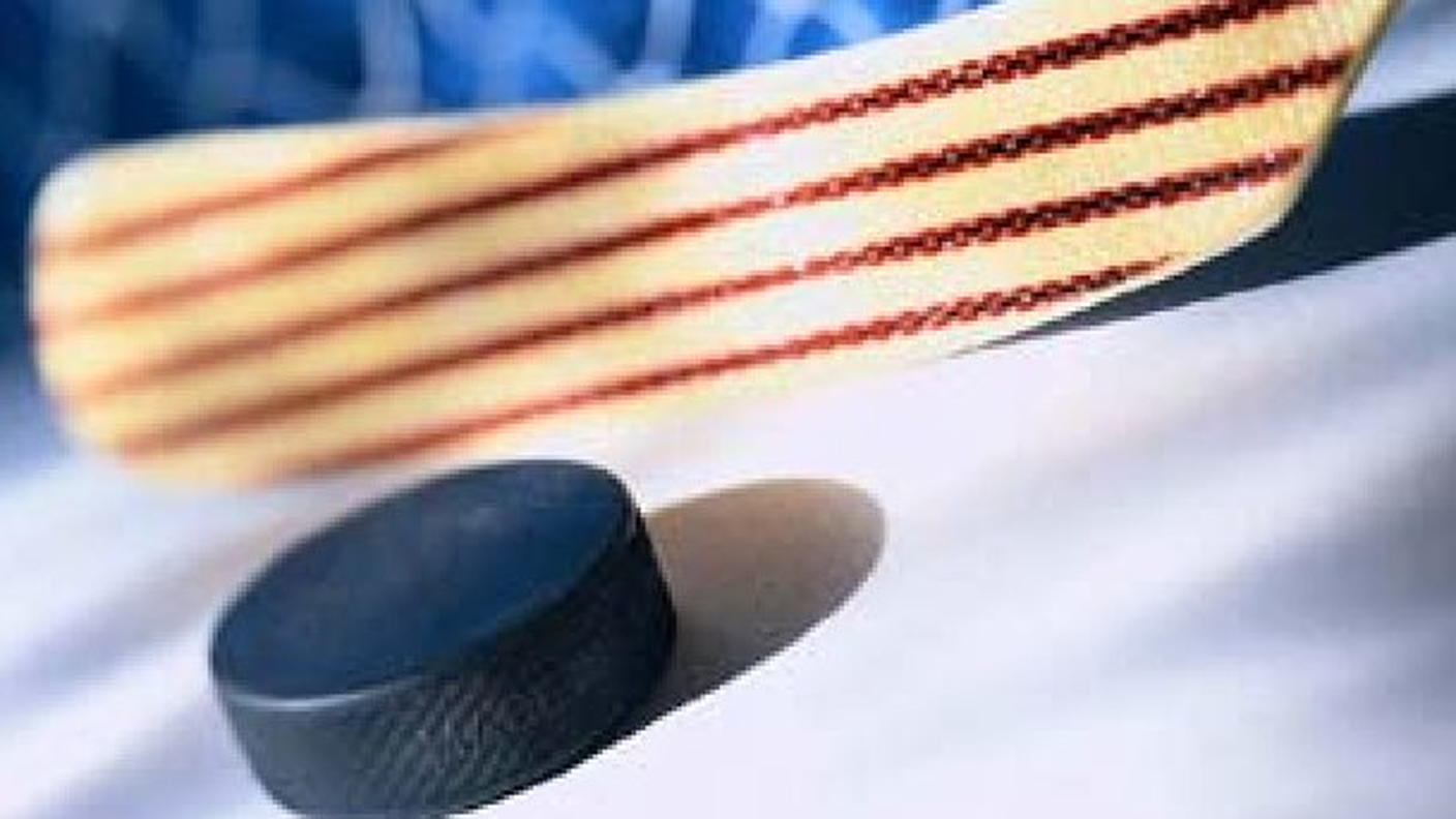 Lo spettacolo dell'hockey