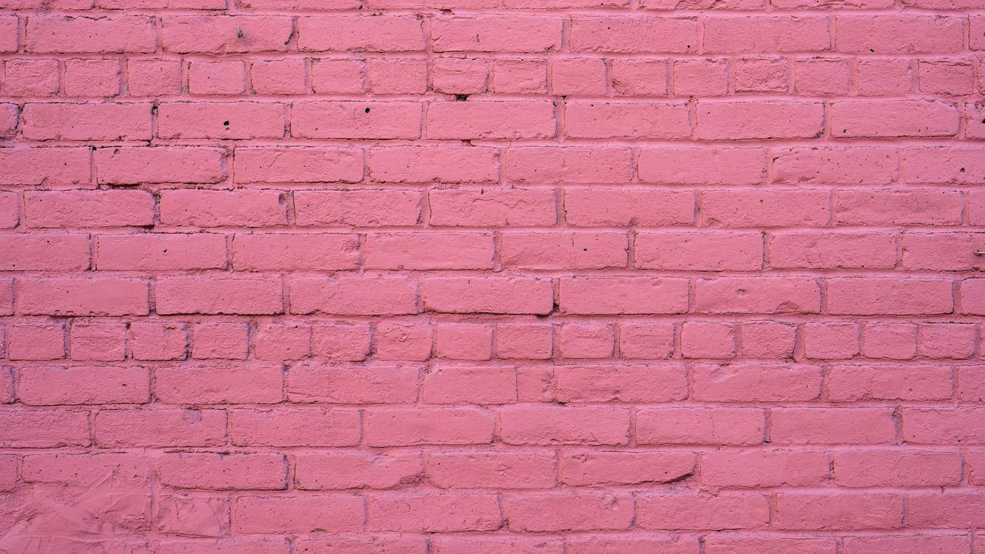 Muro rosa, mattoni, rosa, parete