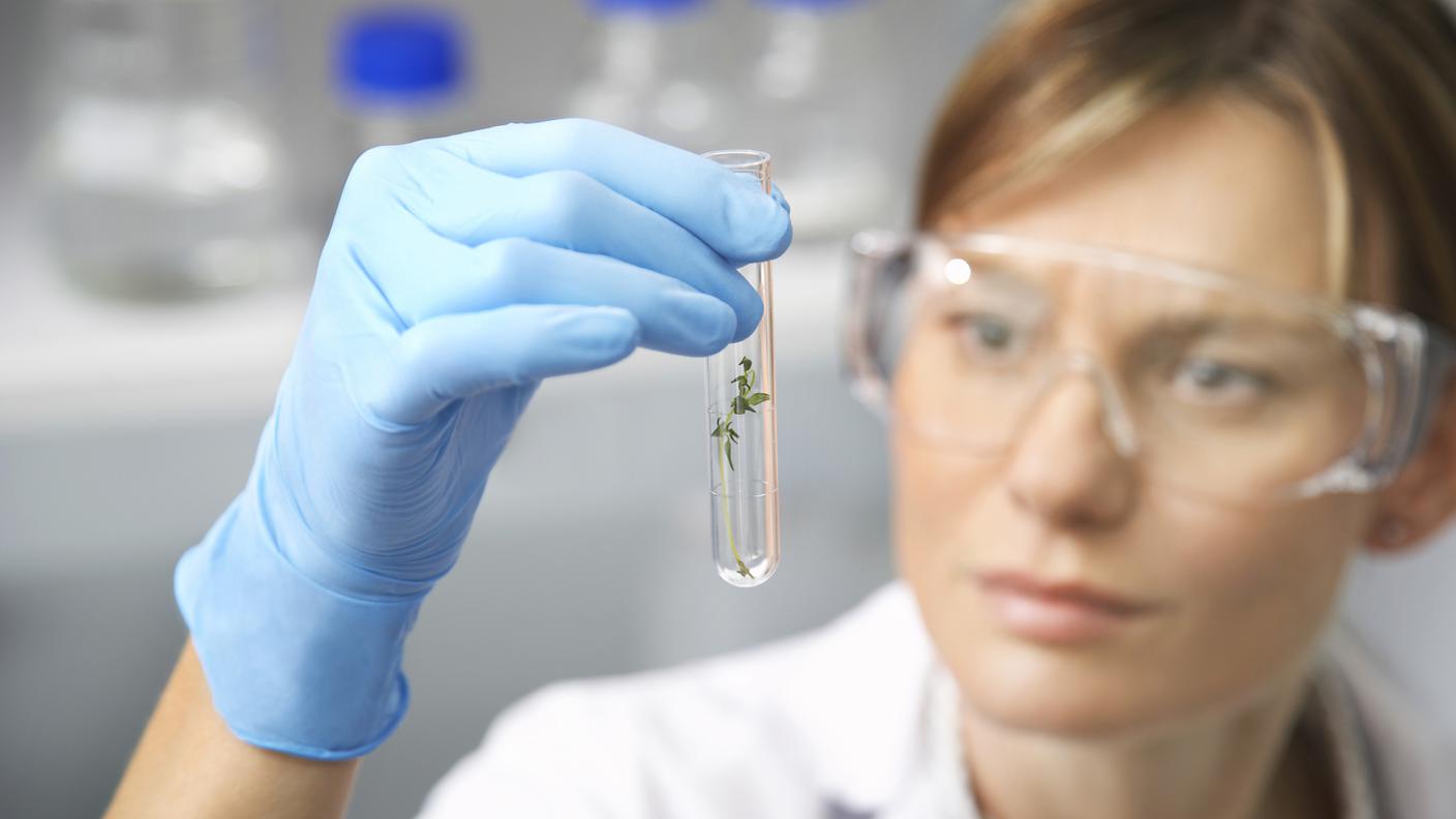 Tecnologia, Scienza, Donne, Sanità e medicina, Adulto, Guardare in una direzione, Botanica, Messa a fuoco differenziale, Ambientazione interna, Composizione orizzontale, Close-up, Scienziato, Spagna, Vegetazione, Ricerca, Lista di controllo, Tenere, Lavorare, Analizzare, Biologia, Europeo, Concentrazione, Esperimento, Laboratorio