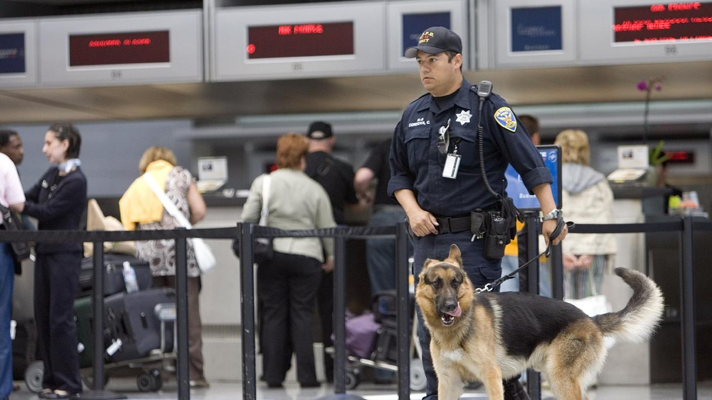 Polizia, Aeroporto, Cane, sicurezza, controlli