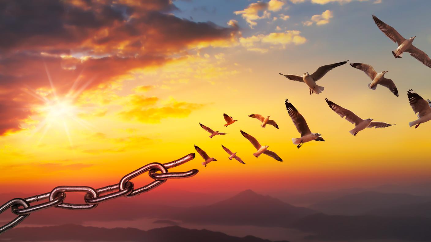 giornata mondiale della libertà, volo dell'uccello e catene spezzate, tramonto del cielo