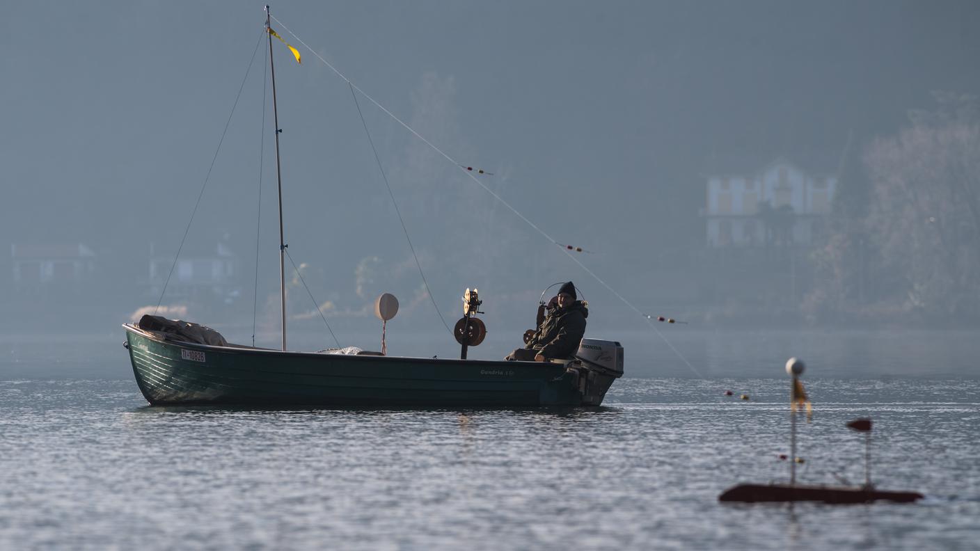 Gara di pesca, Morcote