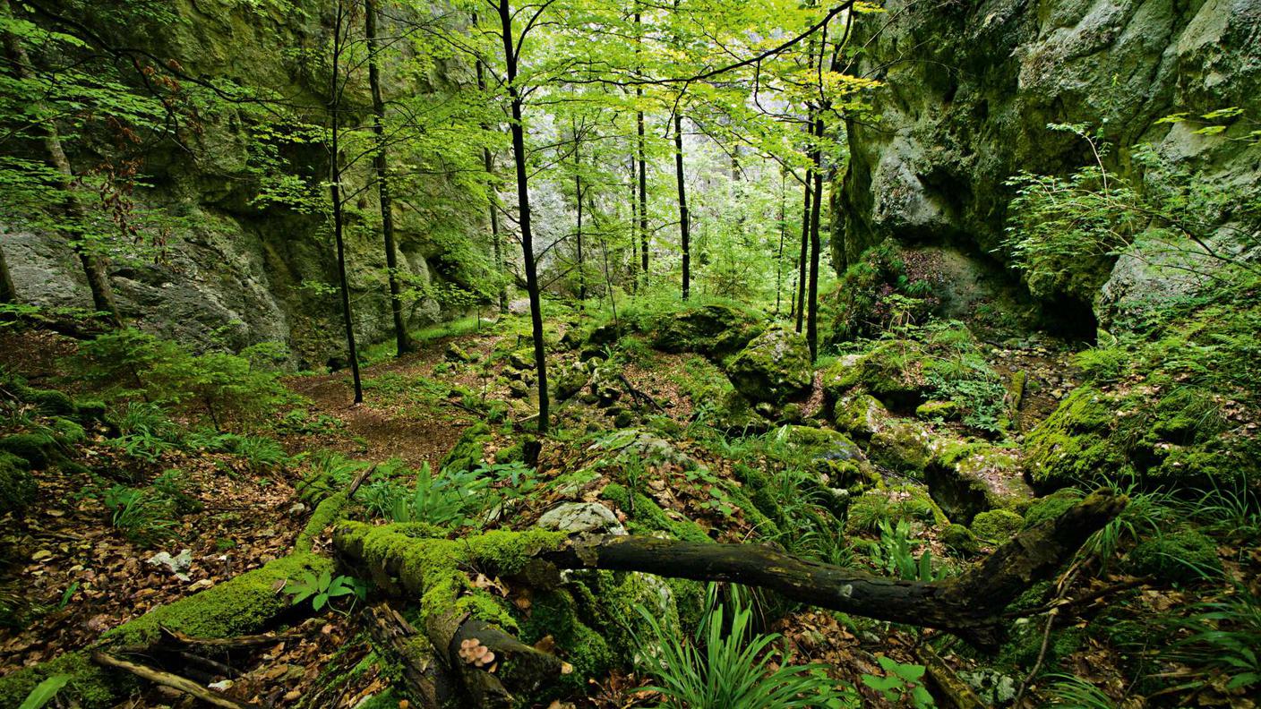 Naturalpark Thal