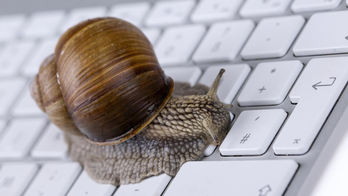 Chiocciola, tastiera, pc, lentezza, lumaca, Internet, Tecnologia, Argento, Computer, Computer portatile