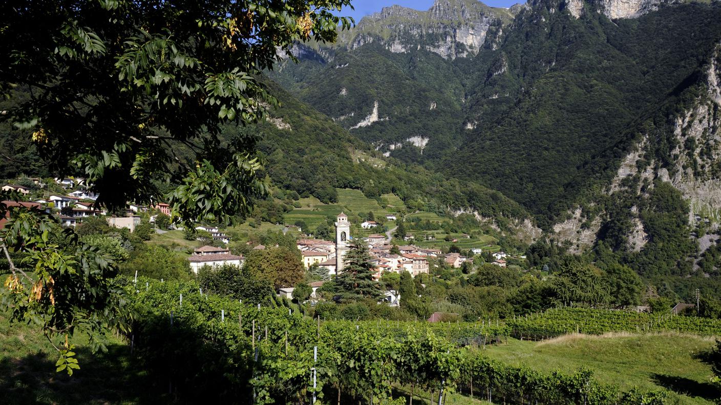 Rovio panorama