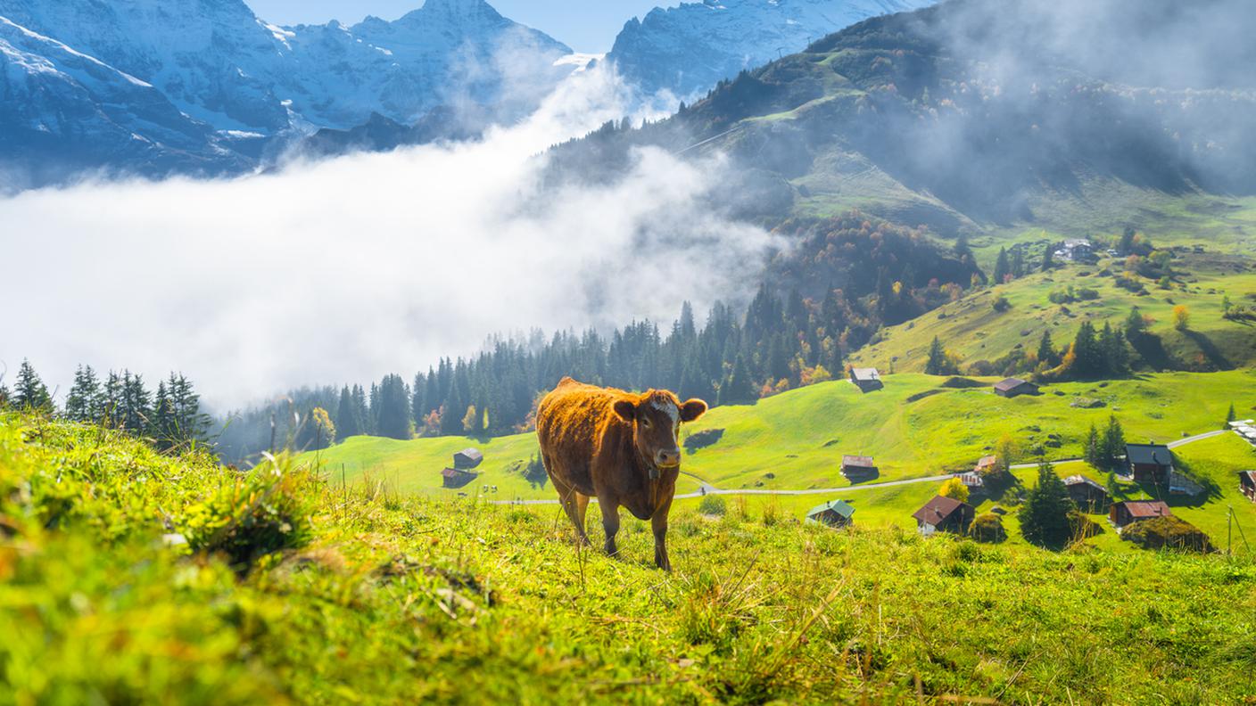 L’agricoltura di montagna 
