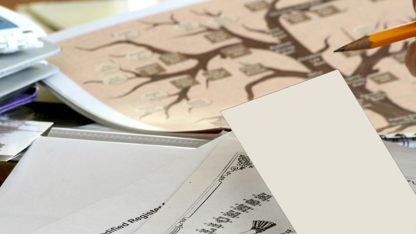 Genealogia, Matita, Oggetto creato dall'uomo, Albero genealogico, Spazio vuoto, Famiglia