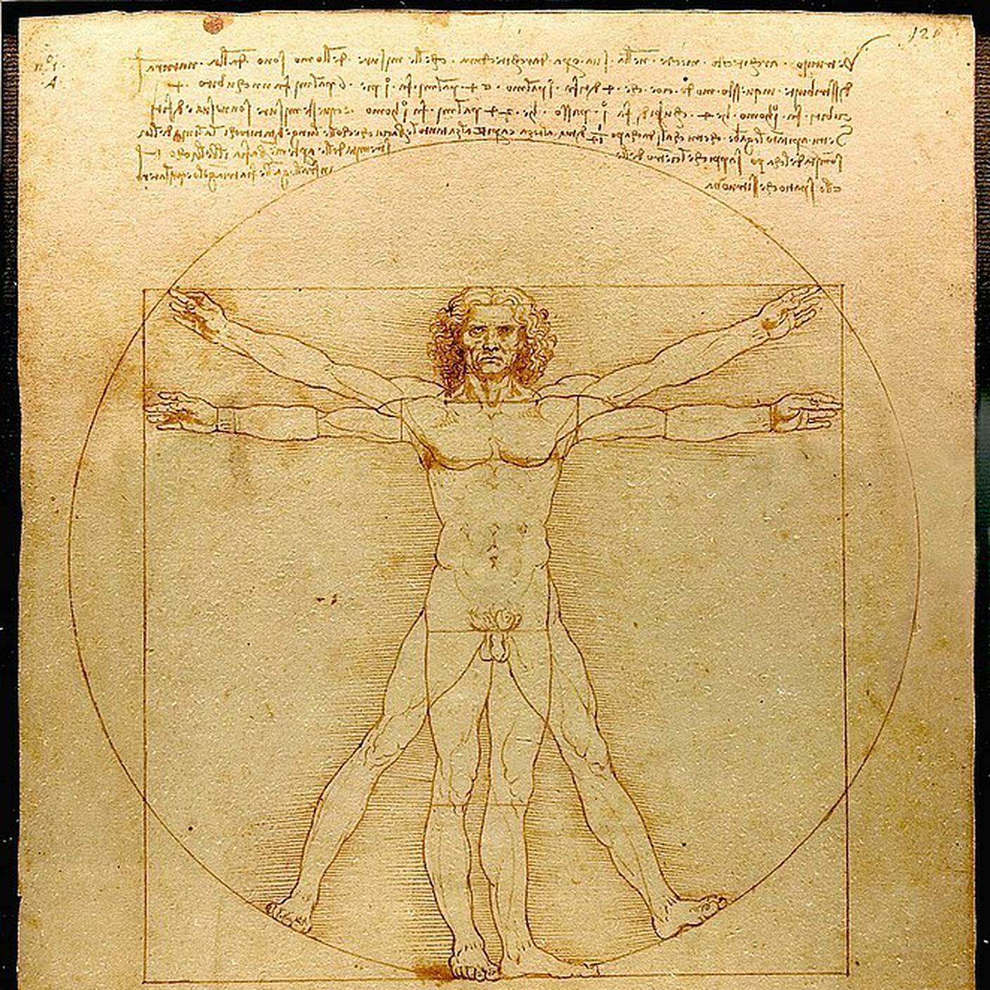 Leonardo da Vinci: Uomo vitruviano, 1490 ca.