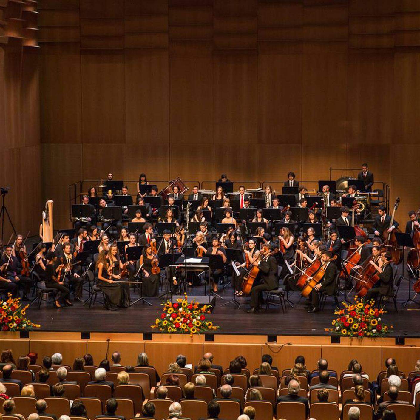 Orchestra sinfonica del Conservatorio della Svizzera italiana, Vladimir Verbitsky