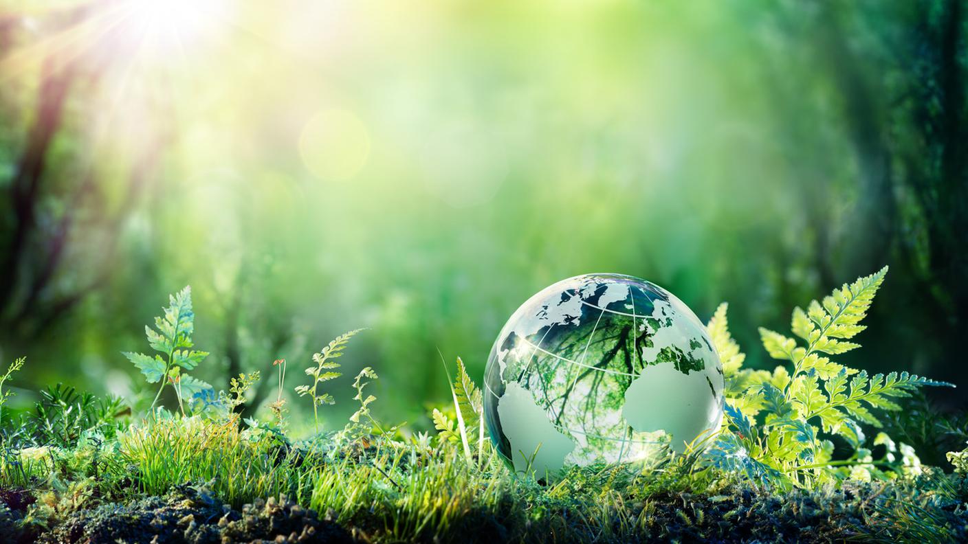 sostenibilità green world green energy