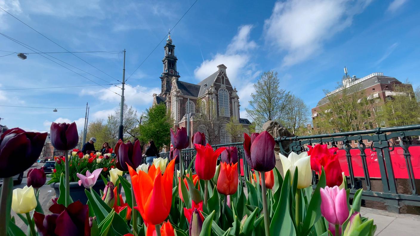Amsterdam.jpg