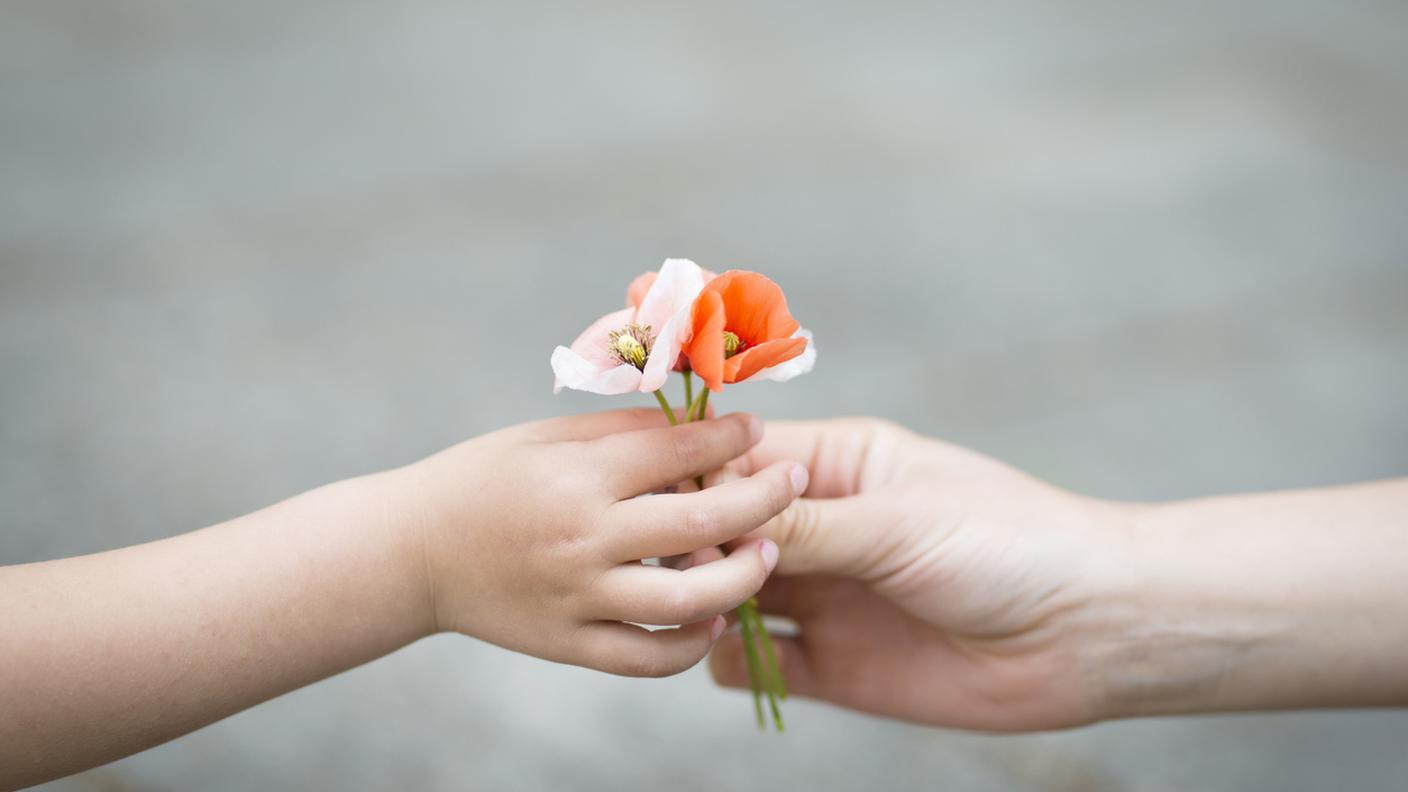 gentilezza, fiore, mano