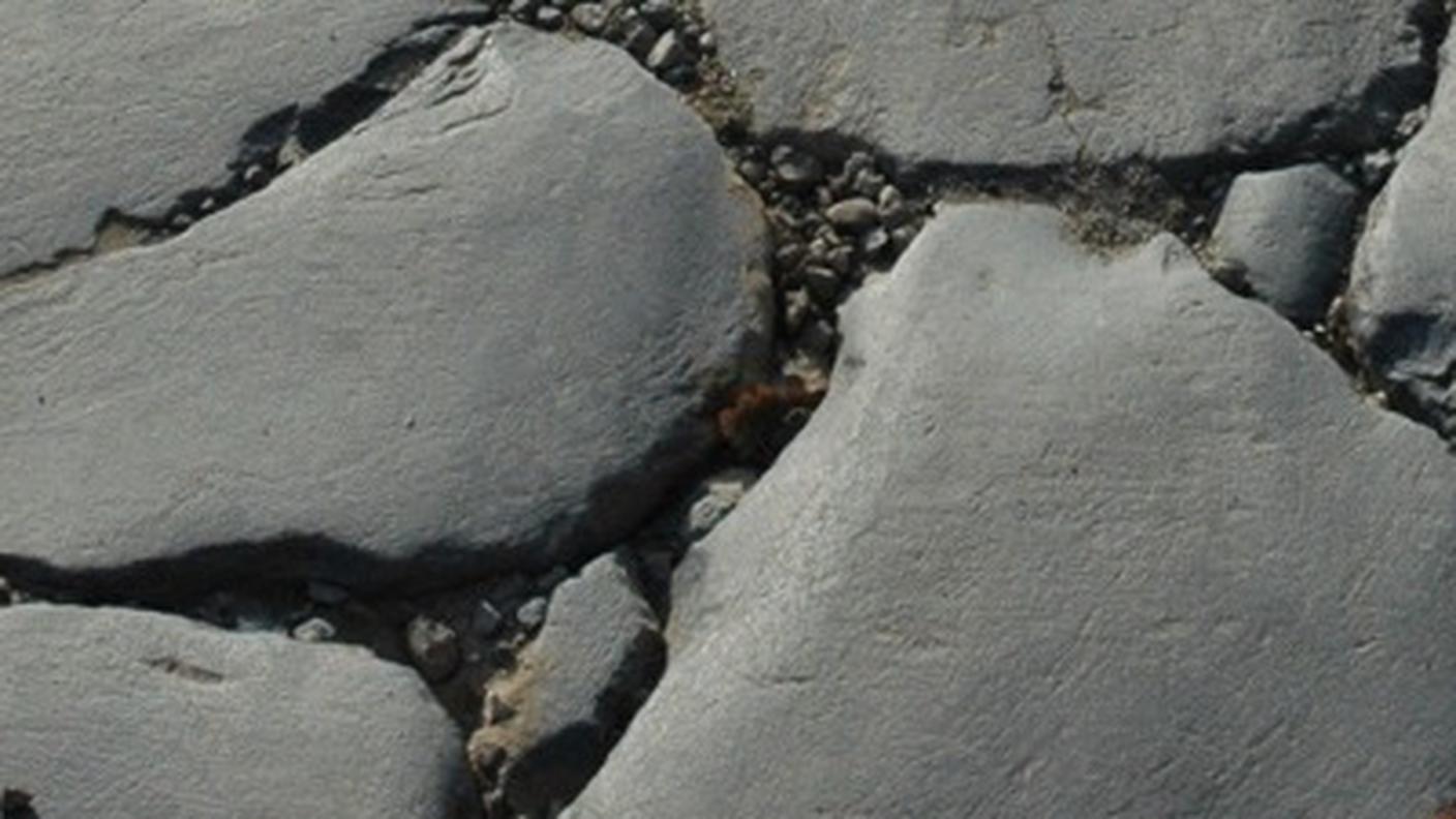 (http://www.viefrancigene.org/it/)