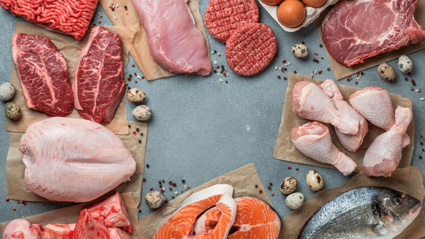 carnivori, carne, pesce, uova