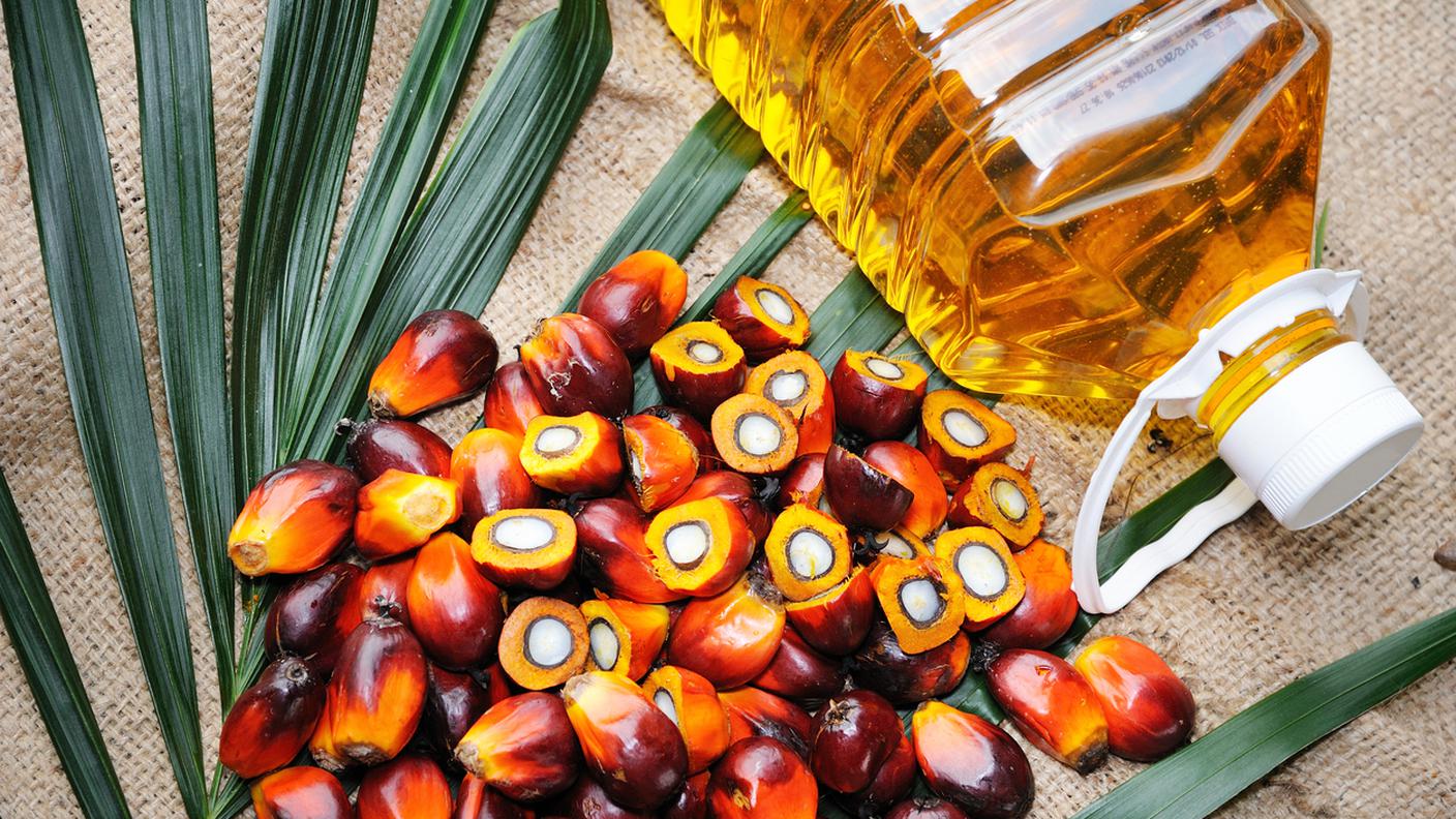 olio di palma