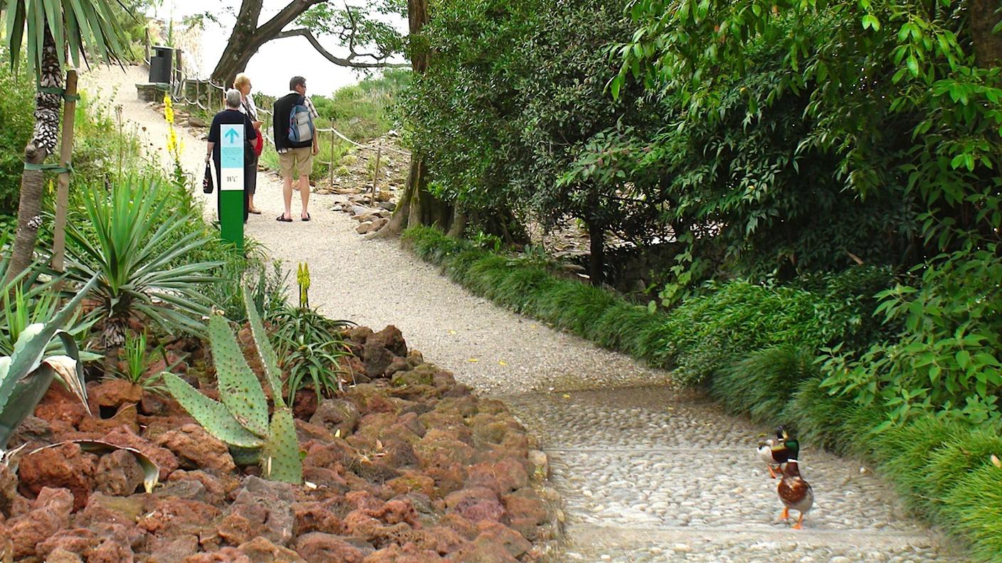 Giardino Isole di Brissago