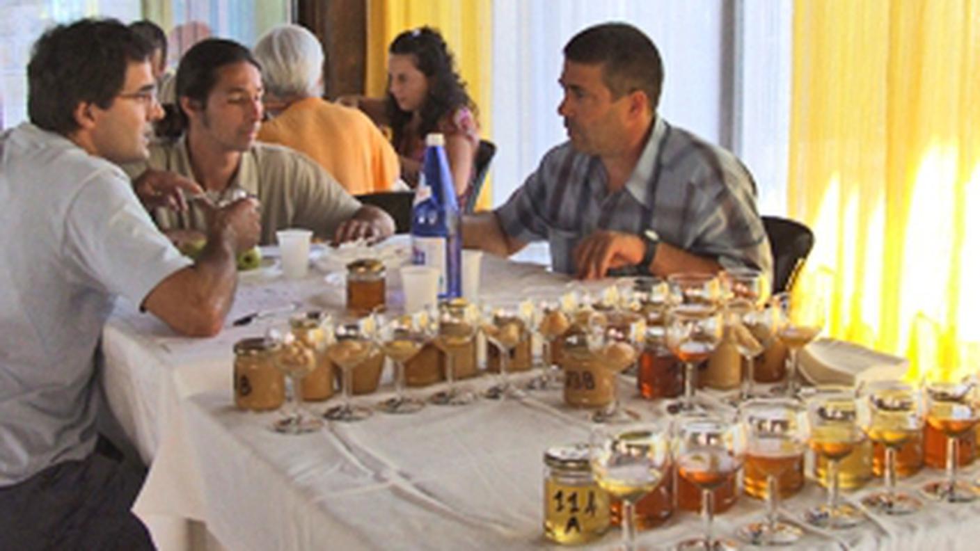 Una degustazione di mieli (sardegnaagricoltura.it)