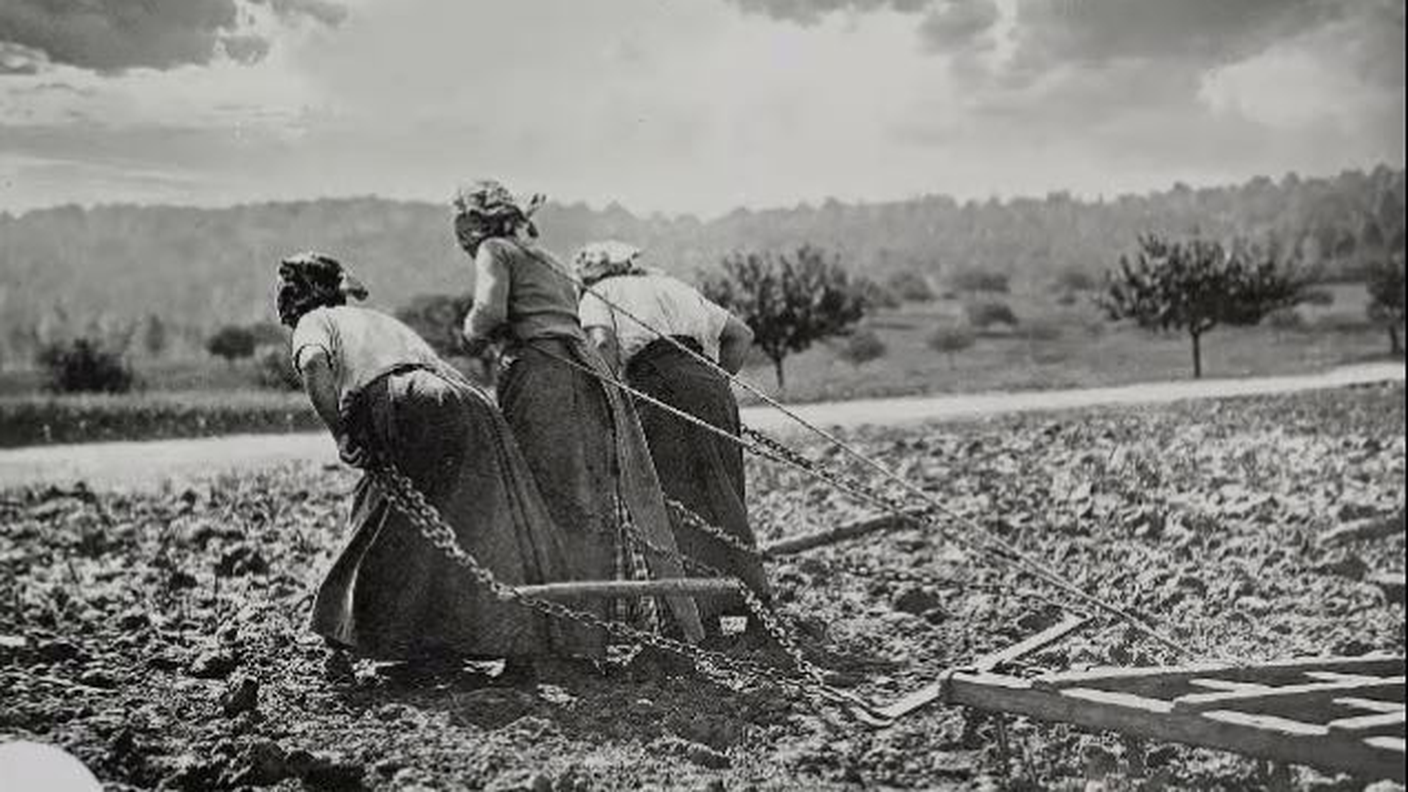 Contadine al lavoro nei campi