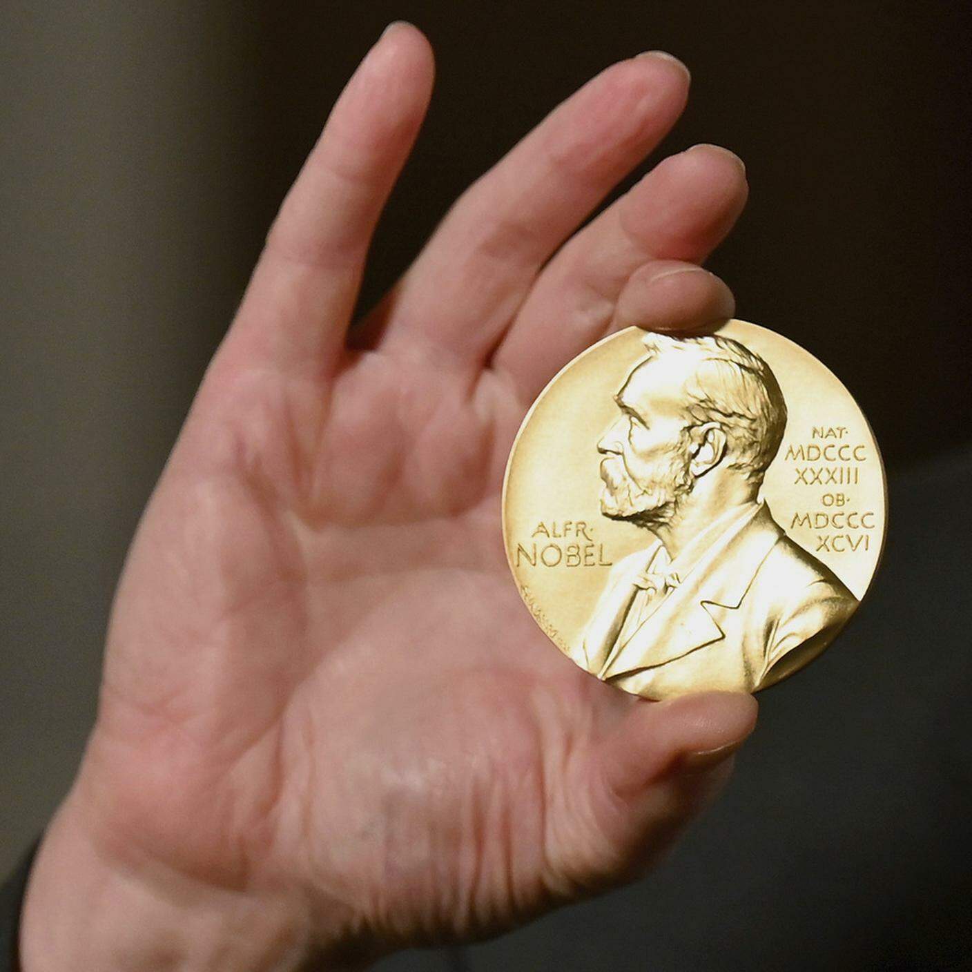 Il premio: una medaglia d'oro e 10 milioni di corone svedesi da spartire equamente