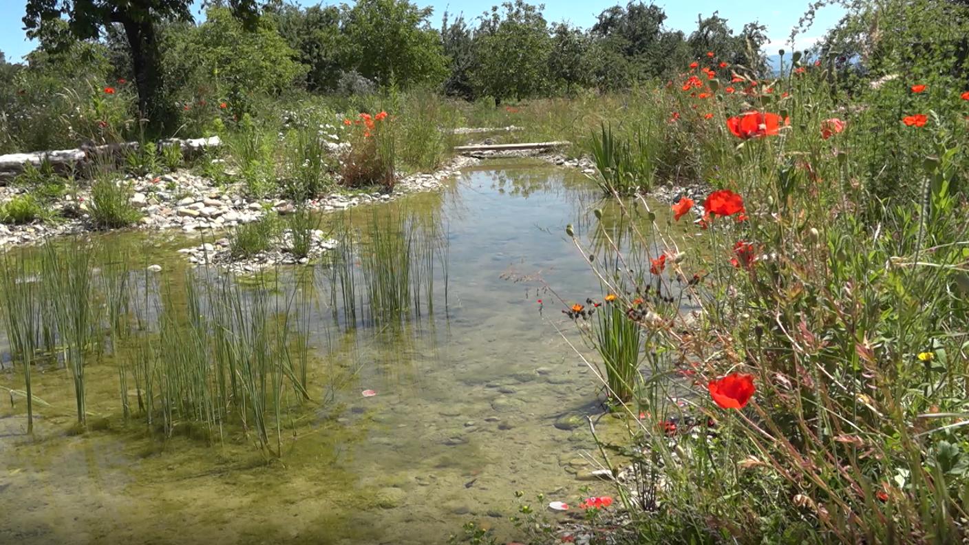 biodiversità