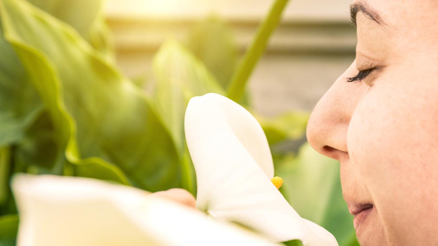 Annusare un calla, olfatto