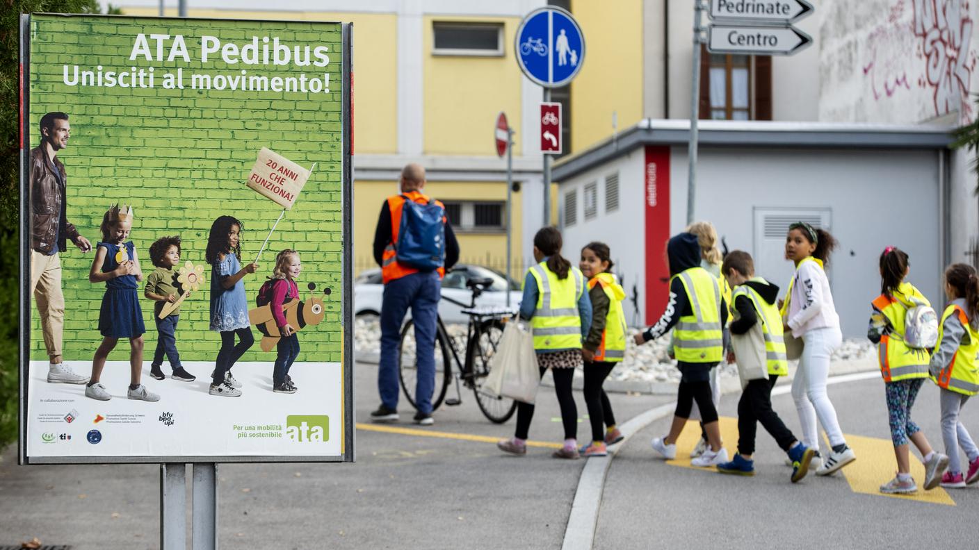 Pedibus