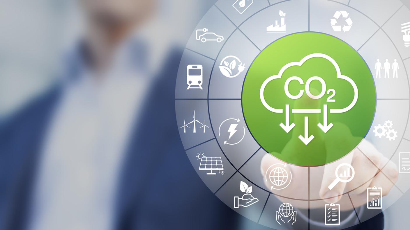 riduzione di materie prime, ecologia