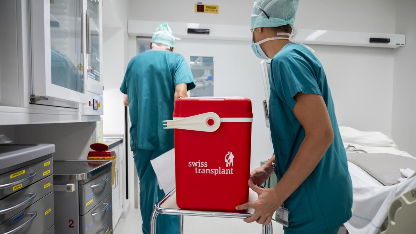 Swisstransplant, donazioni di organi
