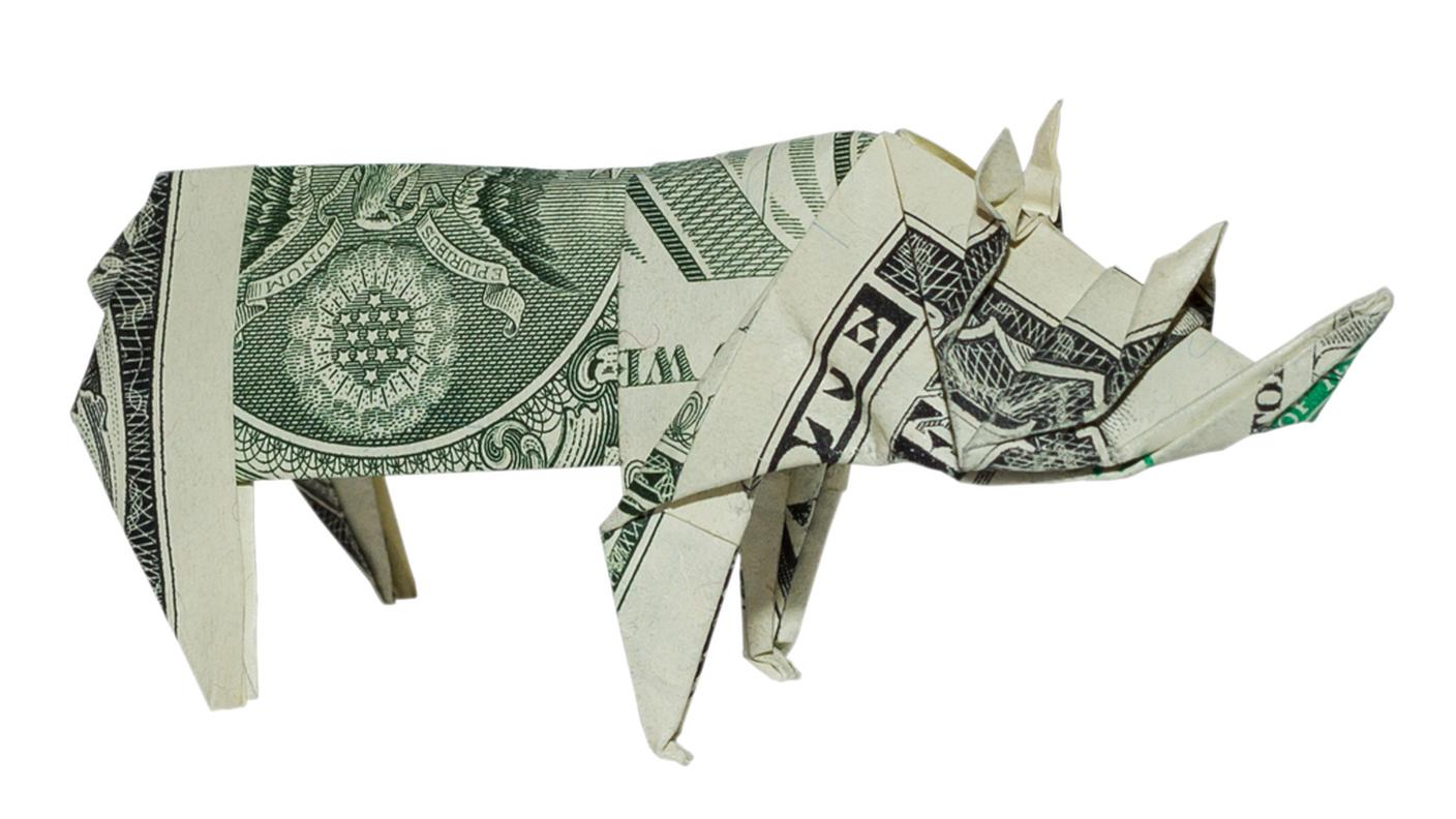 Rhino bond e La fiscalità della previdenza (1./3)