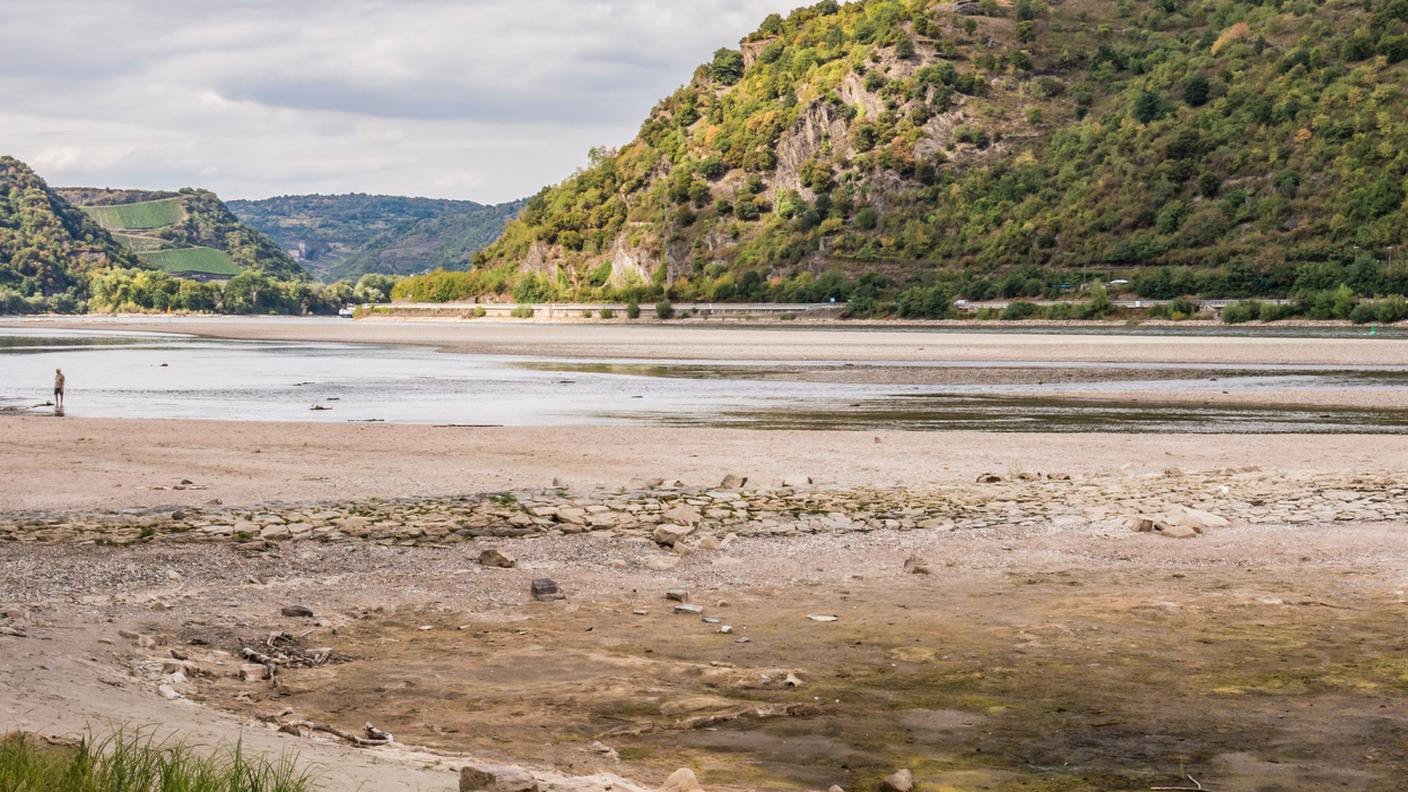 il Reno con acqua bassa nell'estate 2018