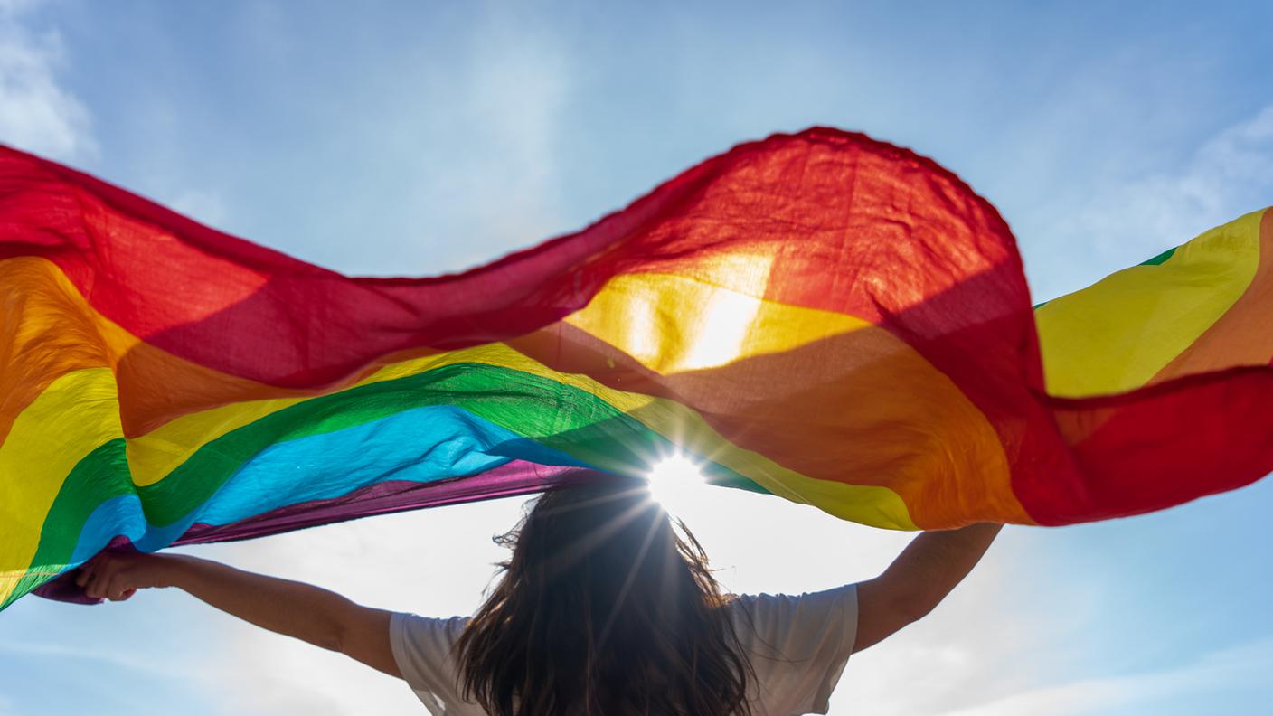 LGBTQIA+, bandiera